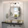Gervon Rectangle Recessed or Surface Medicine Cabinet with Shelves and Mirror