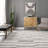 Ludovina Striped Indoor Rug-843884654