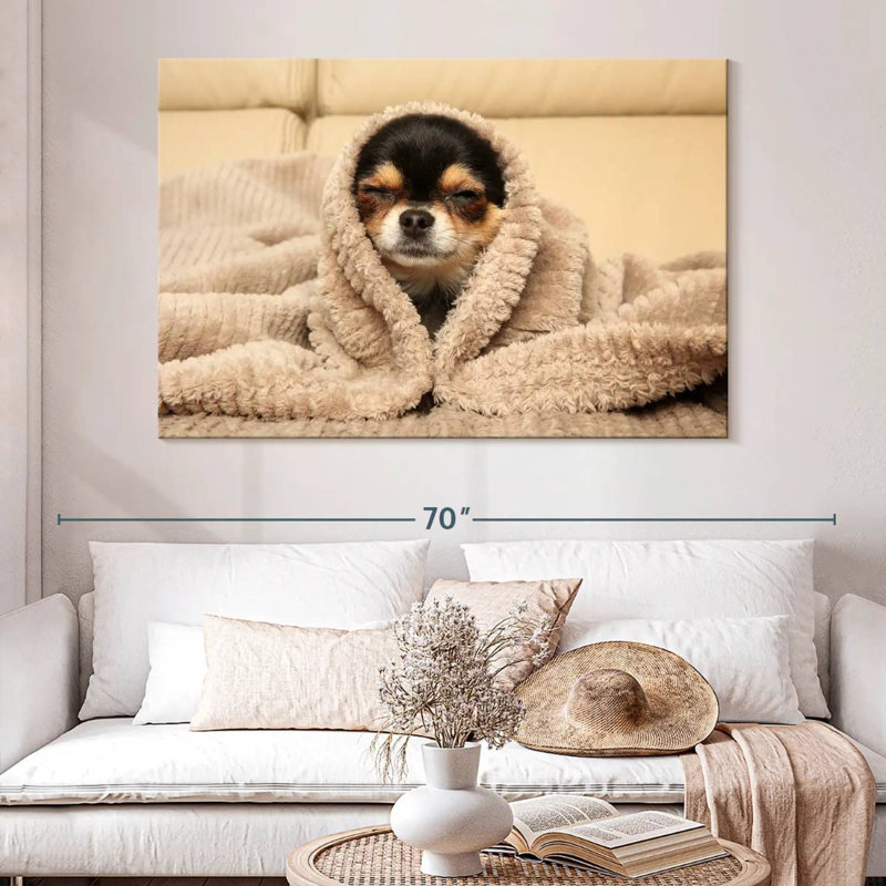 Chihuahua douillet Brampt, H 34 po x l 51 po