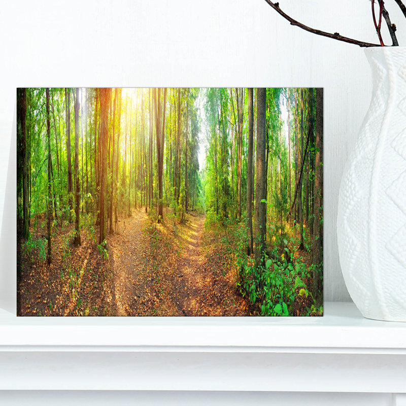 Dense Forest Panorama Abstract Landscape Canvas Print