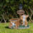 Cute Cat Planter Statue Garden Decor