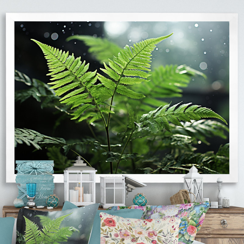 " Ferns Close Up Photo IV ", H 30 po x l 40 po x P 1,5 po, Cadre simple blanc