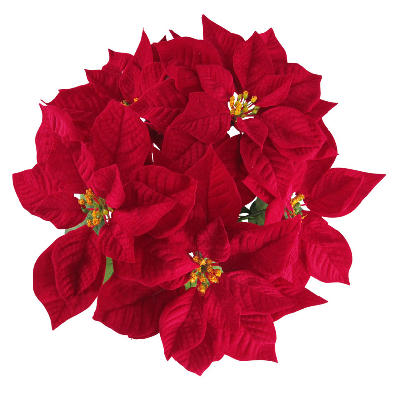 Buissons de poinsettias, H 20 po x l 17 po x P 17 po