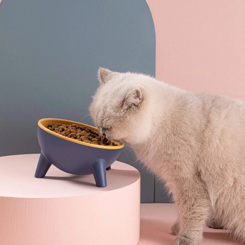 Bol surélevé pour chat - Conception inclinable, anti-salissure, pour chats et petits chiens, Jaune / Bleu