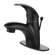 Nita Vantage Collection Single-Handle Lavatory Faucet