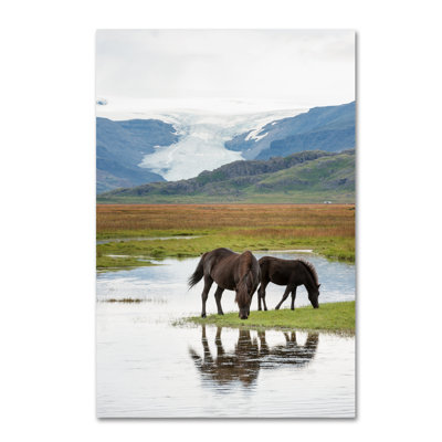 Fadel The Time is Gone by Philippe Sainte-Laudy Photographic Print on Wrapped Canvas