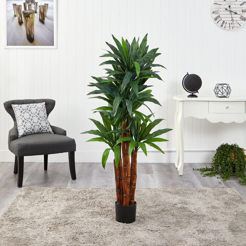 Faux Dracaena Tree in Pot, 54" H x 14" W x 14" D