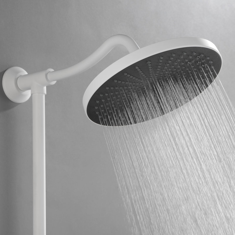 Handheld Shower Head 1.5 GPM GPM, White