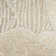 Nourison Avra Taupe Modern Indoor Rug