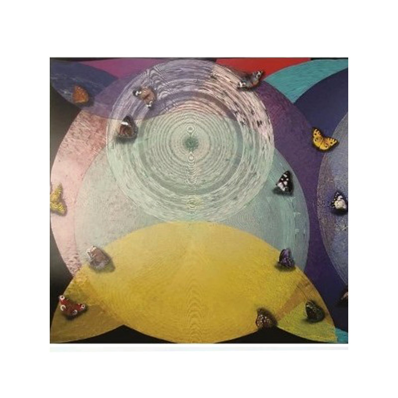 "Happy Vibration" par Ghanshyam Gupta, art acrylique sur toile de 80 po x 194 po, cercles concentriques colorés avec papillons, décoration murale spirituelle contemporaine