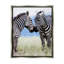 «Heartwarming Zebras Kissing in Field Animal Wildlife» par Danita Delimont - photographie sur toile tendue-75440403-75440406