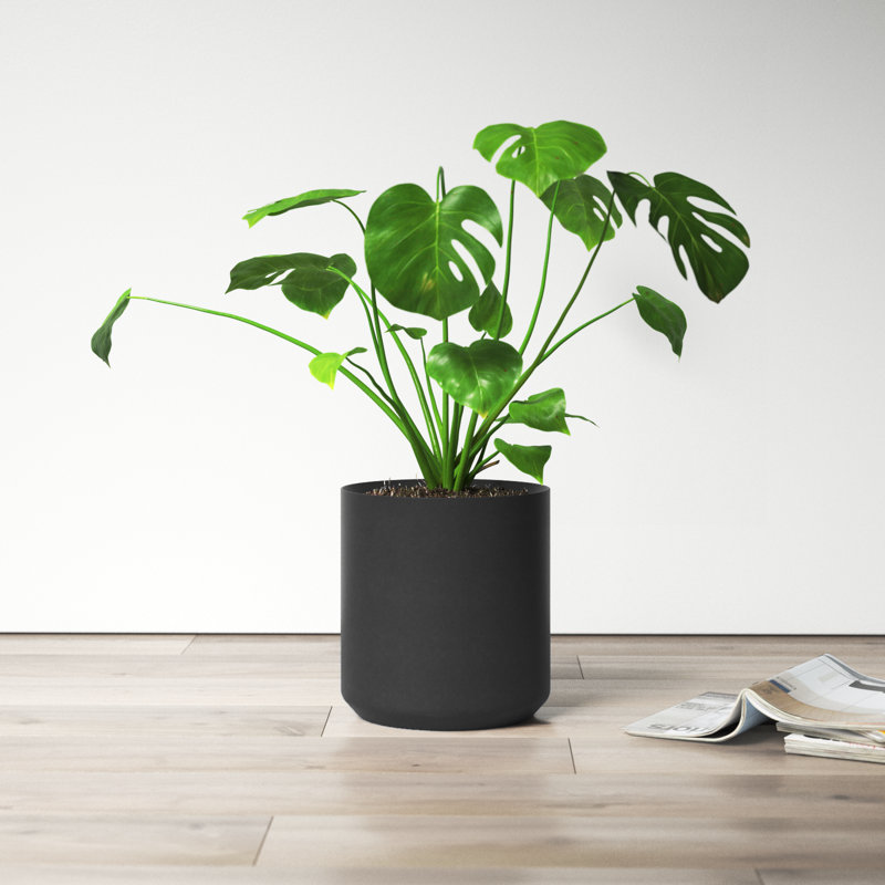 Parsons Handmade Ceramic Pot Planter, 10" H x 10.75" W x 10.75" D, Black