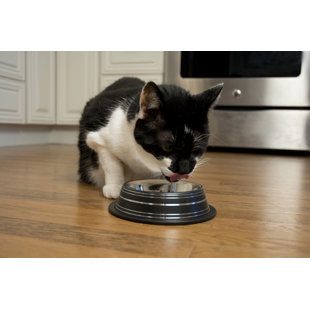 Anti-Skid Pet Bowl (Set of 2)