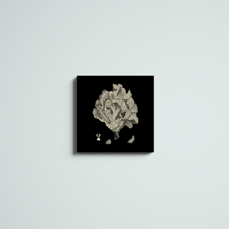 «Black and Tan Coral IV», impression sur toile, H 20 po x l 20 po