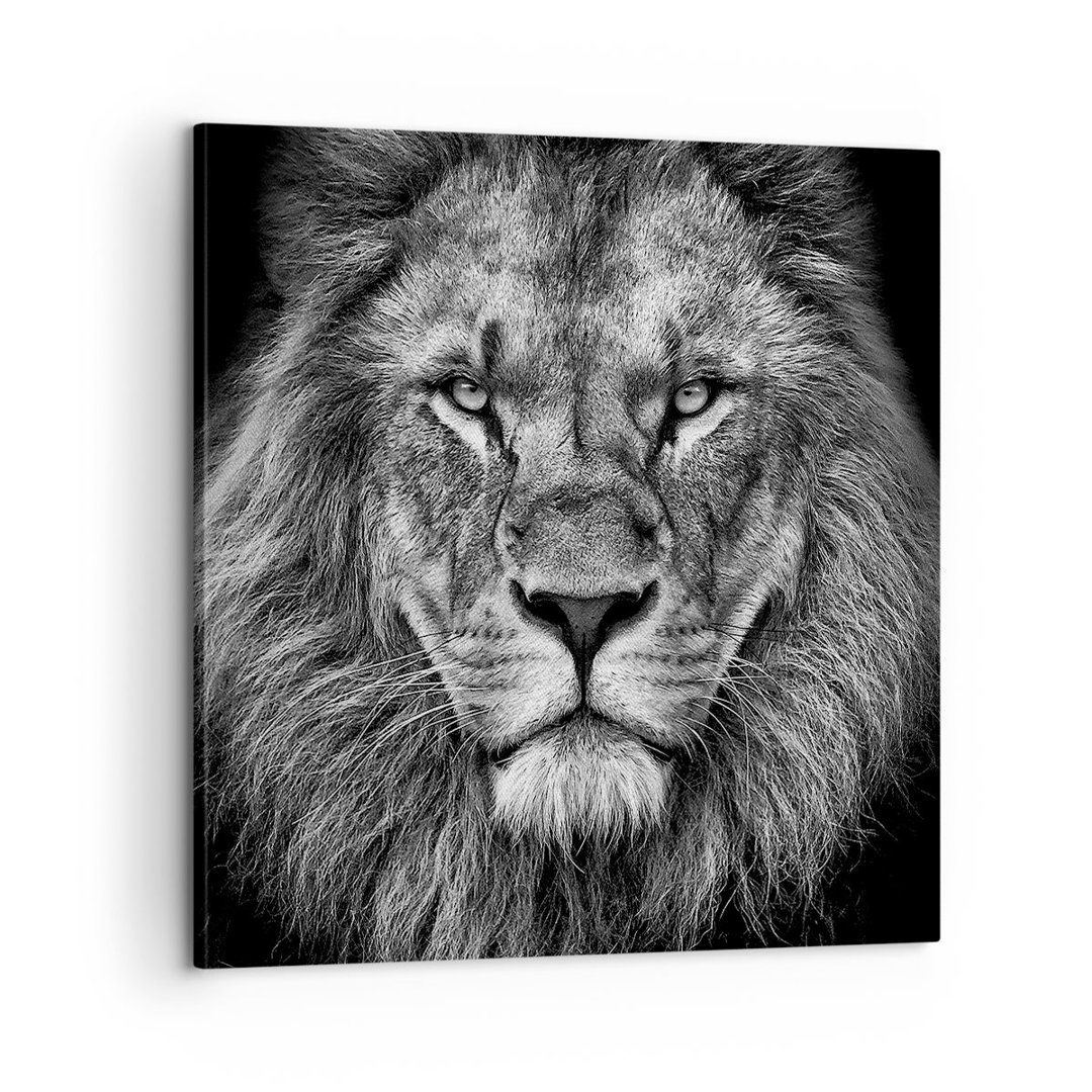 Leinwandbild Portrait Lion Black and White