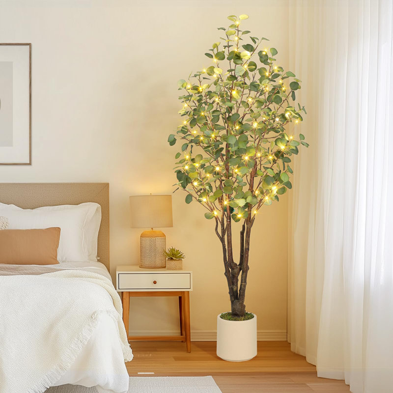 Eucalyptus d'intérieur d'intérieur, H 72 po x l 7 po x P 7 po