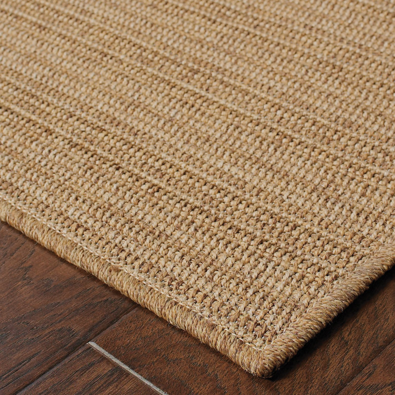 Tapis intérieur / extérieur en polypropylène tissé à la machine Arriola, Rectangle 2 pi 5 po x 4 pi 5 po