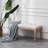 Gajijens Velvet Upholstered Bench