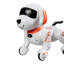 Programable Remote Control Dog Toy-130677380