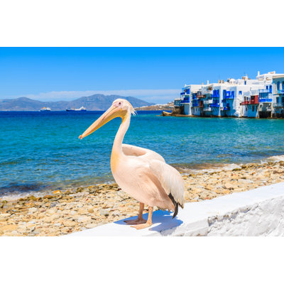 Famous Pelican Bird by Pkazmierczak - Wrapped Canvas Print