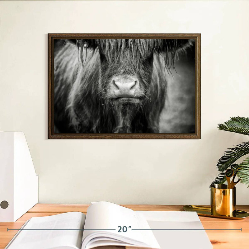 Vache Highland, 13 po x 9 po, Cadre flottant noyer