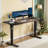 Height Adjustable Electric Standing Desk With Splice Board, 4 Memory Presets, Anti-Collision-1561511036