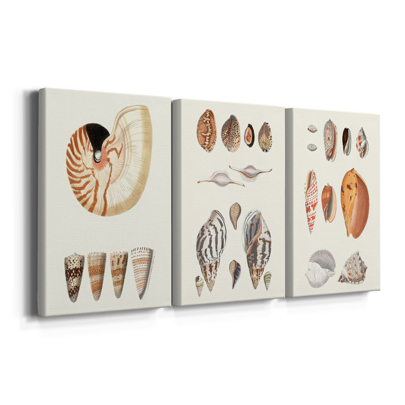 Shell Collection I - Toile tendue sur mesure avec châssis - 3 pièces, H 48 po x l 96 po