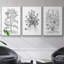 Ensemble de 3 pièces encadrées sur toile noir et blanc-809689893-809689916
