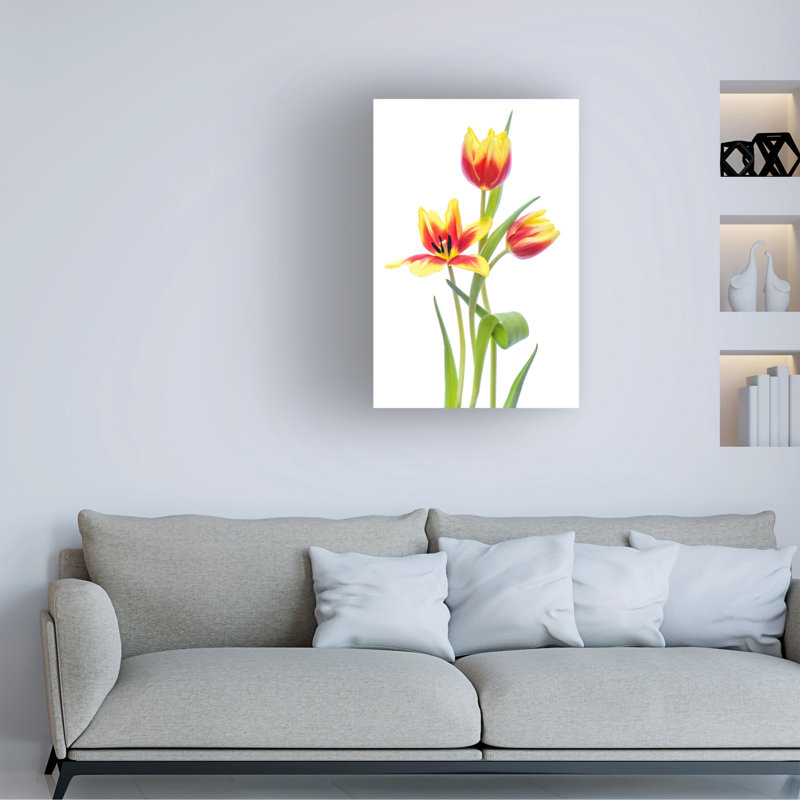 Contemporary, 30" W x 47" H