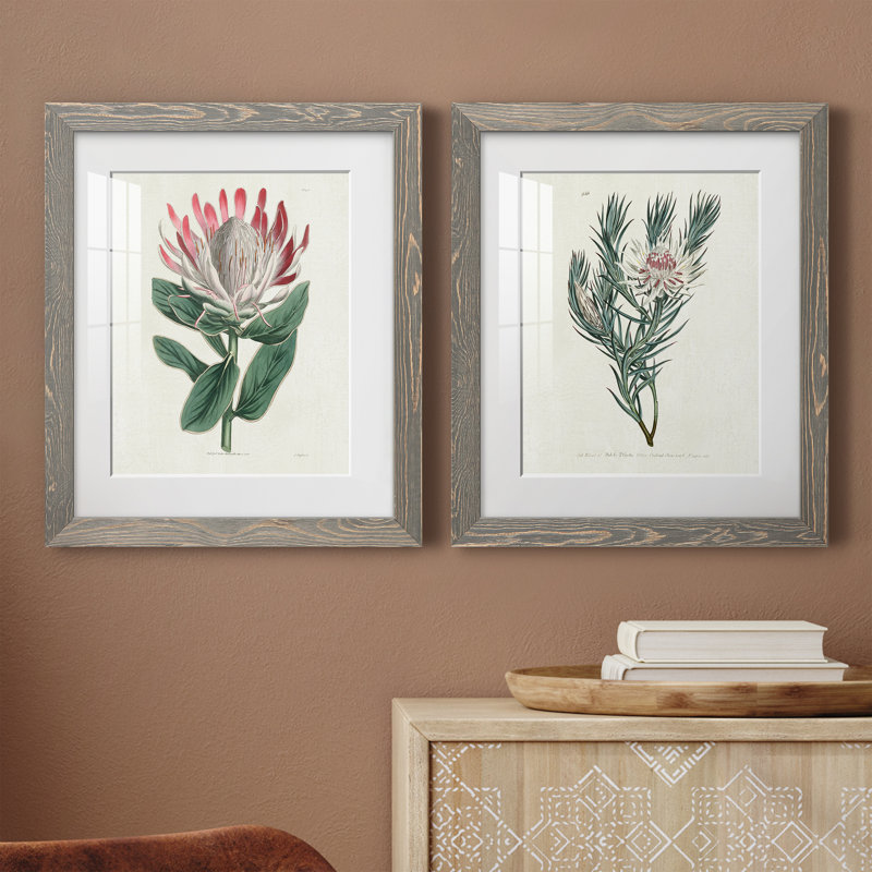 Protea N13 - ensemble de 2 impressions, H 20 po x l 34 po x P 1,5 po, Cadre en papier gris