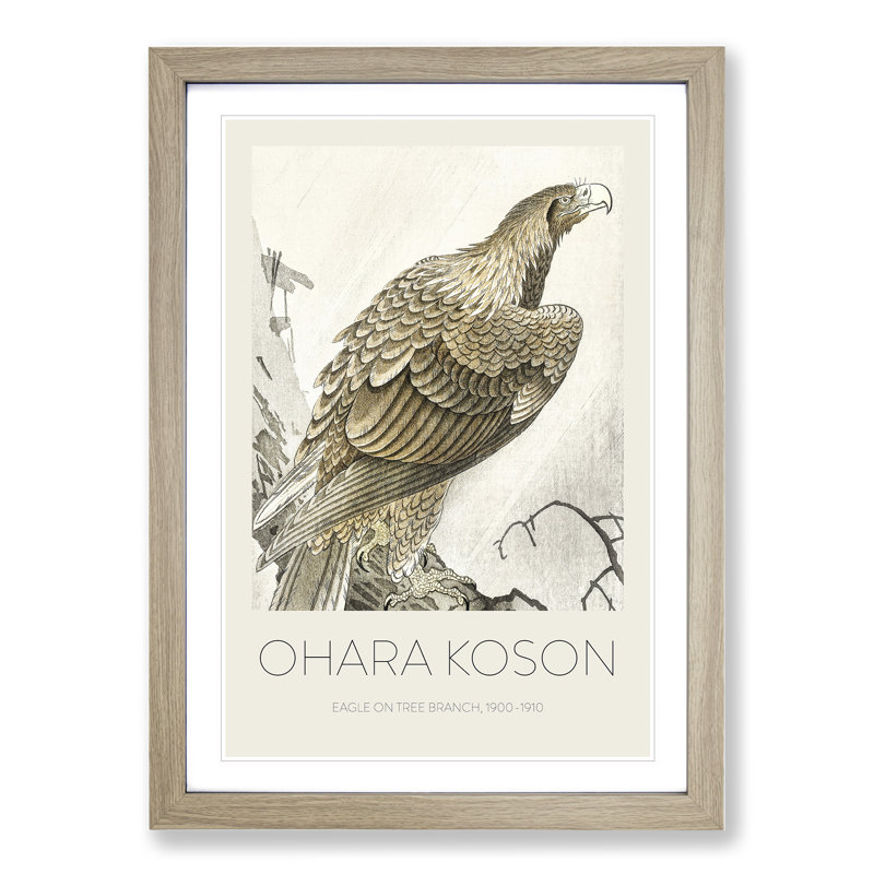 Eagle On A Tree Branch by Ohara Koson - Single Picture Frame Print, Oak Framed, 65cm H x 48cm W x 2cm D