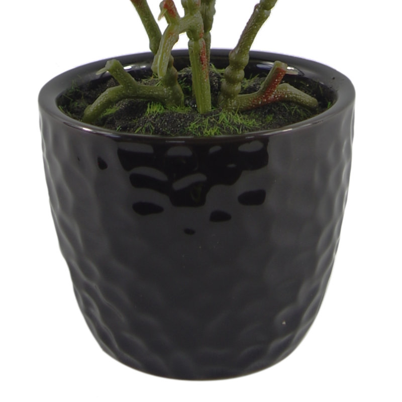 Anlin 30cm Faux Tree in Pot