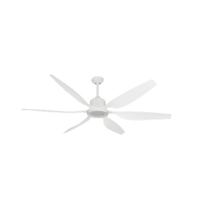 Kayeleigh 66'' Ceiling Fan with LED Lights