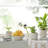Impression  12 Pc Set-109238388