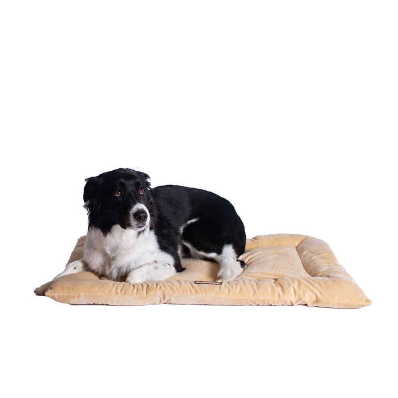 Large Beige Velvet Pet Bed Mat with Poly Fill