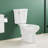 17" Elongated Toilet – Single Side Handle, Power Flush, Water-Saving Tank Kit – Two-Piece for Bathroom Remodel