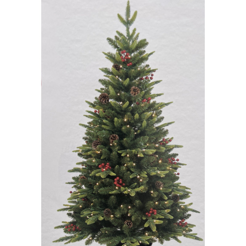 Arbre de Noël 2025 20,5 pi.