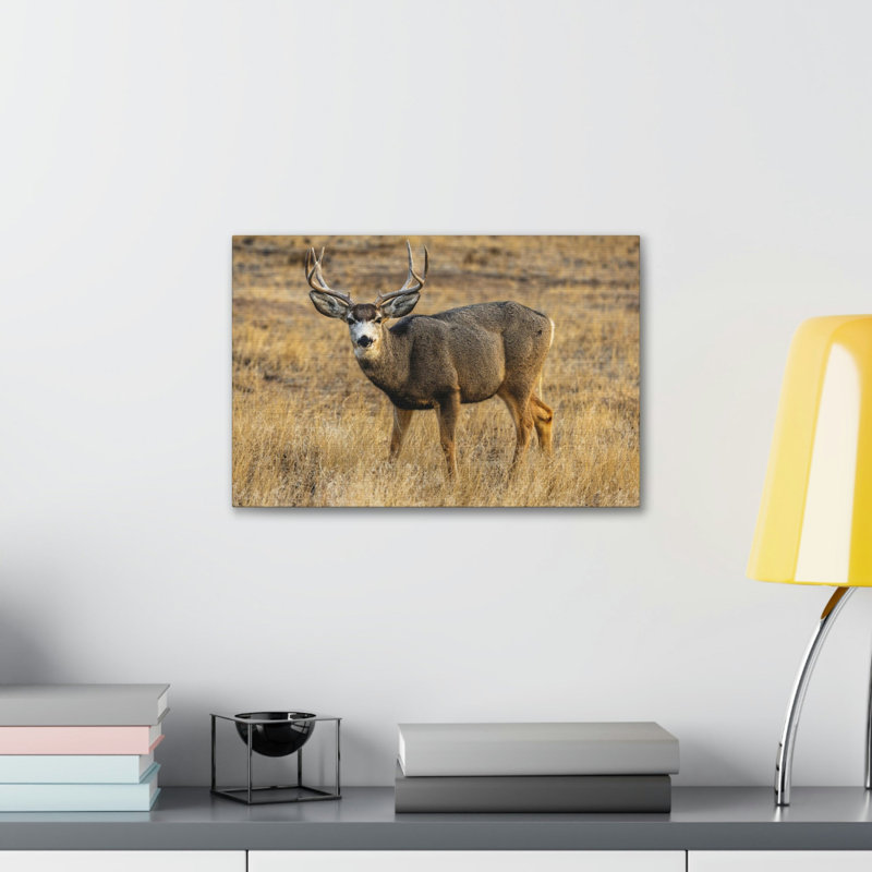No Frame Print on Canvas