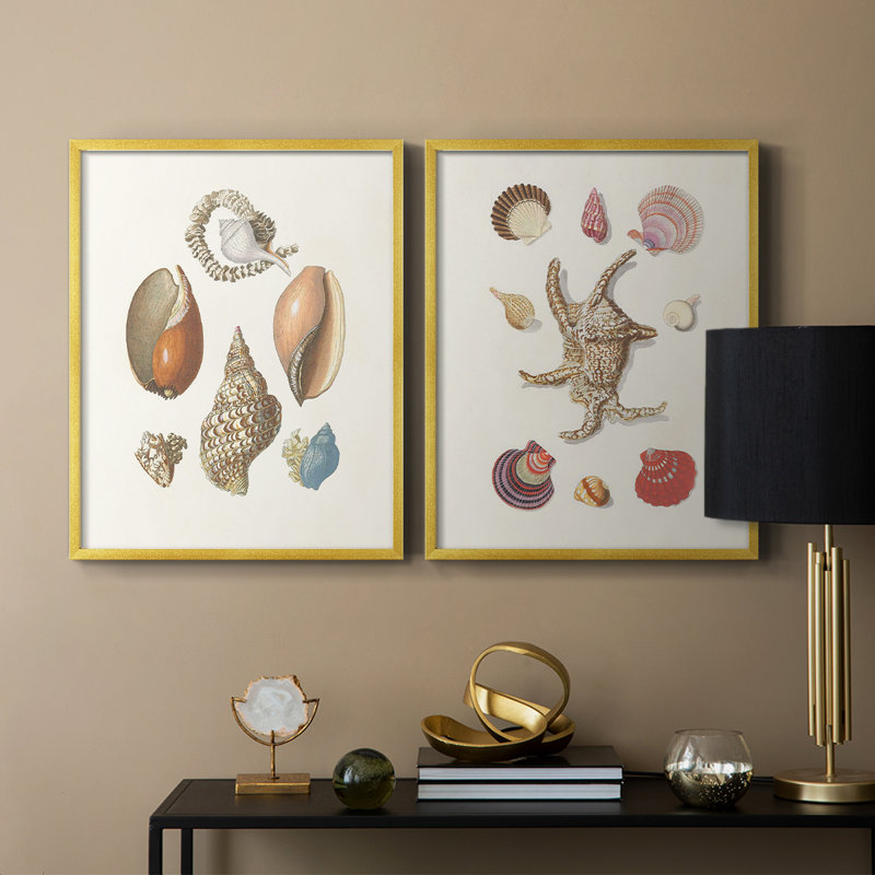 Knorr Shells & Coral I-Premium, reproduction encadrée prête à accrocher - aucun clou requis - aucun clou requis, Doré