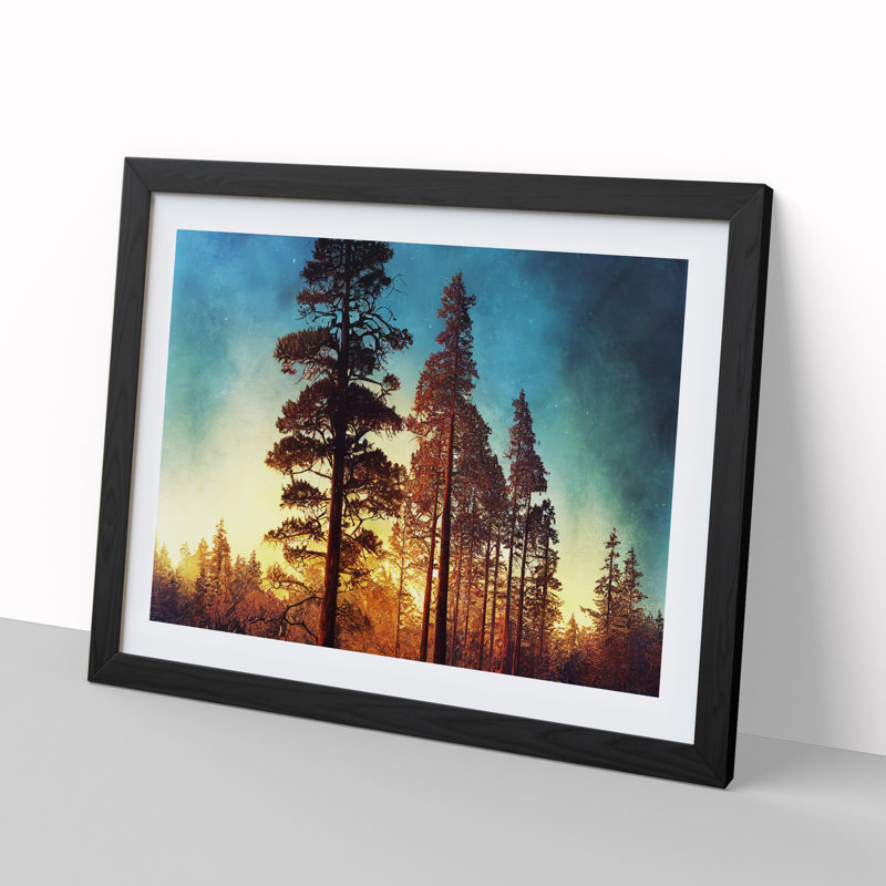 Cosmopolitan Pine Tree Forest - Framed Print, 25cm H x 34cm W x 2cm D, Black Framed