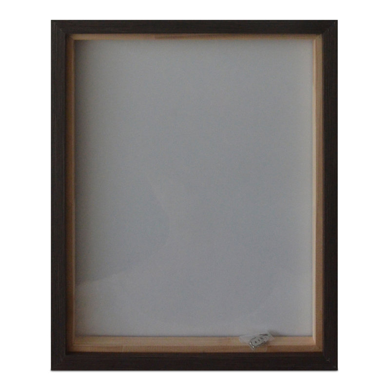 Intrepid Framed Painting