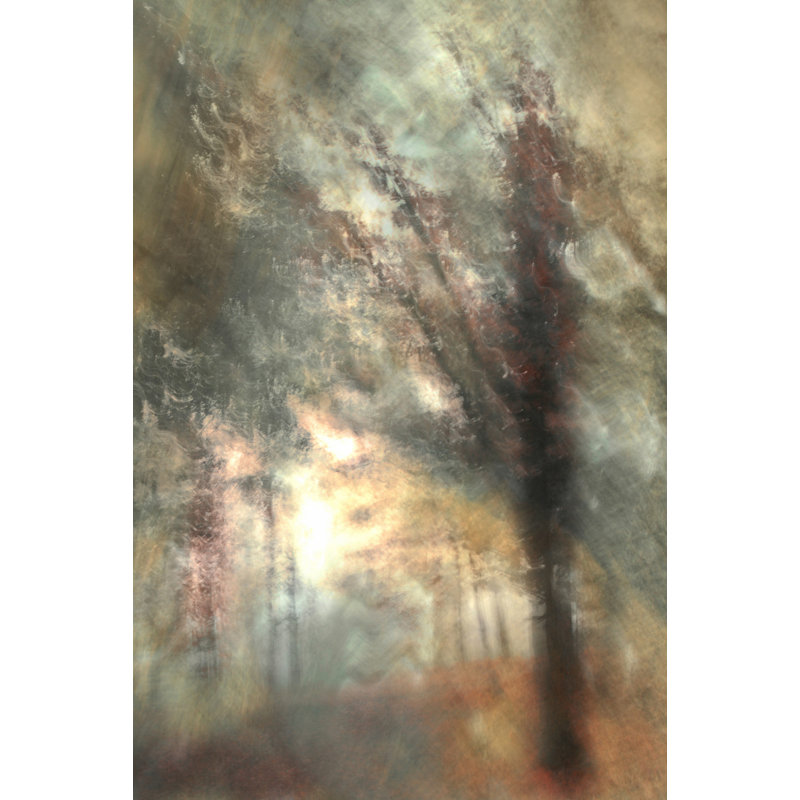 Wrapped Canvas Print, 76.2 cm H x 50.8 cm W