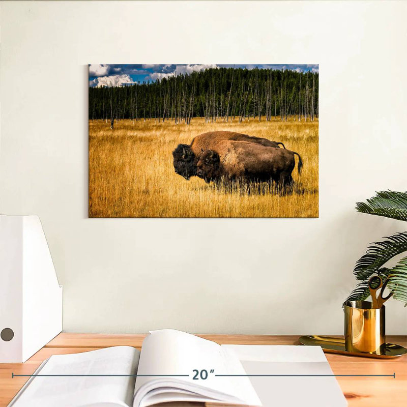 Brampt Bison In Summer, 8" H x 12" W