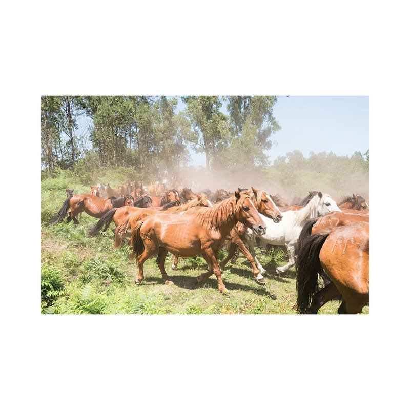 Stampede by Andrew Lever - Wrapped Canvas Print
