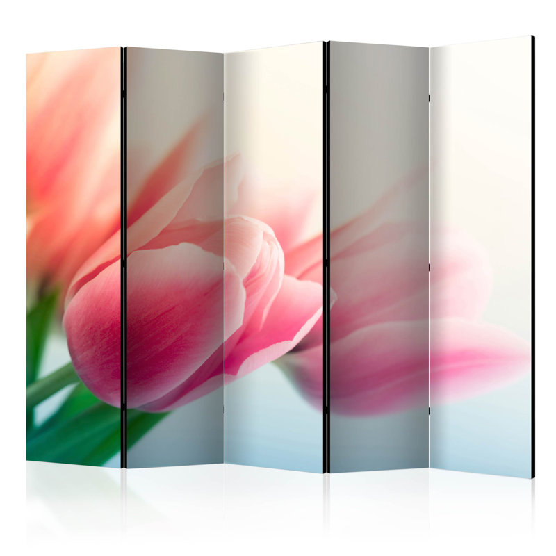 Harut 225 cm W x 172 cm H 5 - Panel Folding Room Divider
