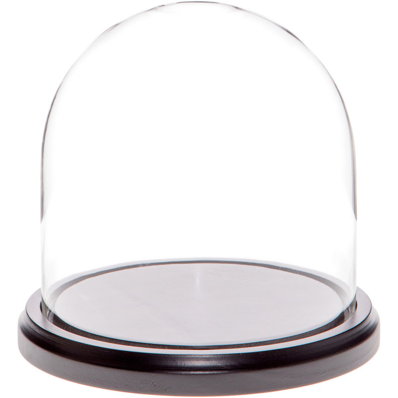 Cloche en verre Vucciria, 4" H × 4" W × 4" D, Structure noire en bois