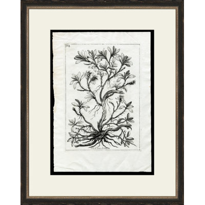 Rooted Plant III Painting