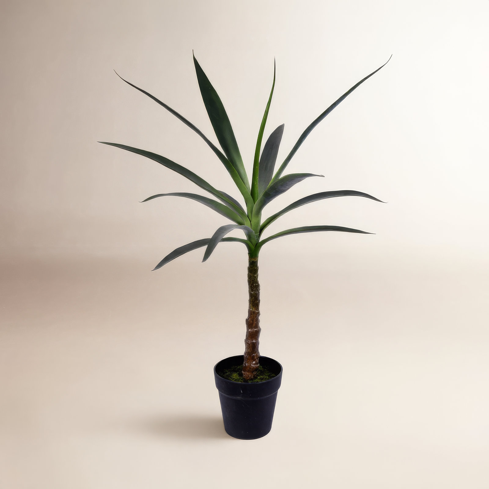Faux Tree in Pot, 30" H x 8" W x 8" D