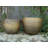 Colin Planter-159122913-159122912