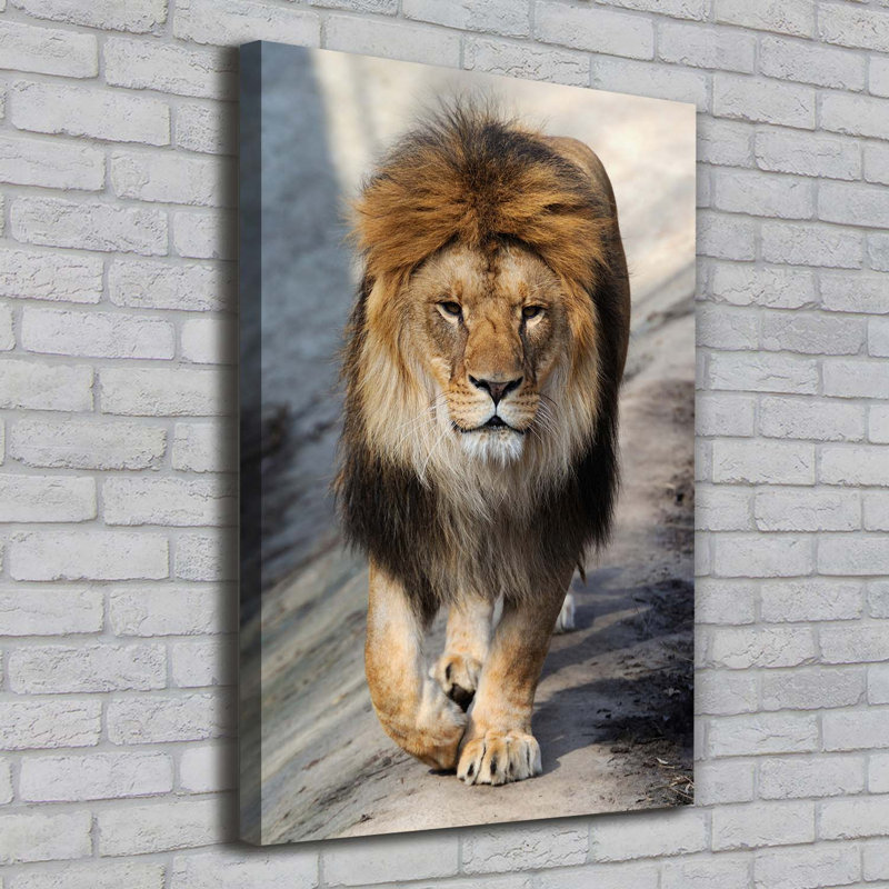 Lion - Wrapped Canvas Print